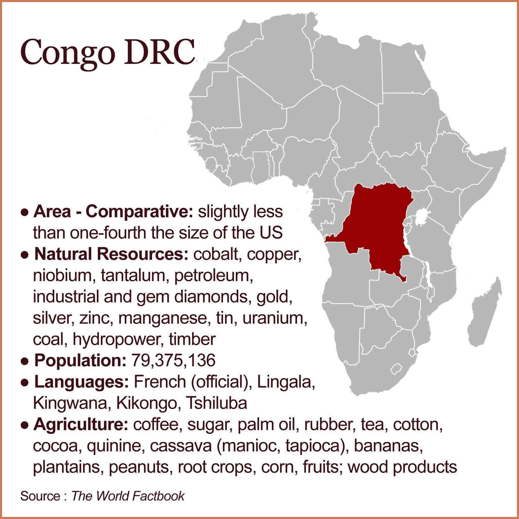 Congo Raffia Kuba Cloth 76 - Ananse Village