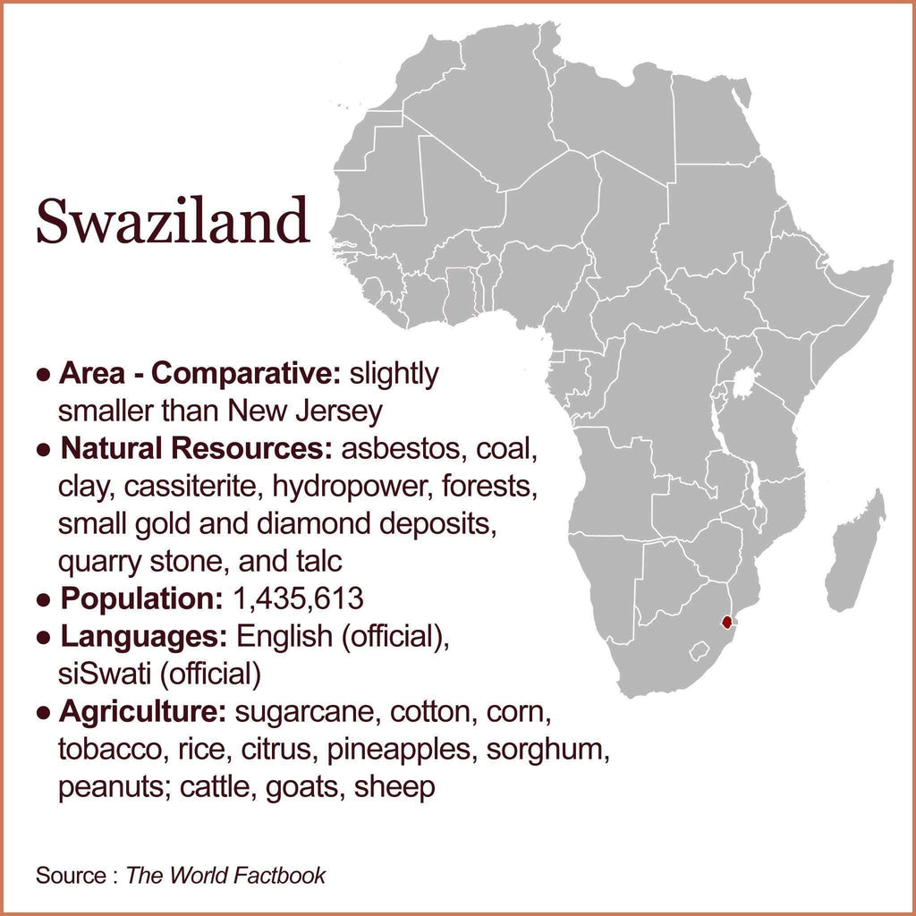 Swazi Sisal Titja Basket 148 - Ananse Village